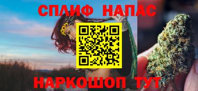 крисы Кунгур