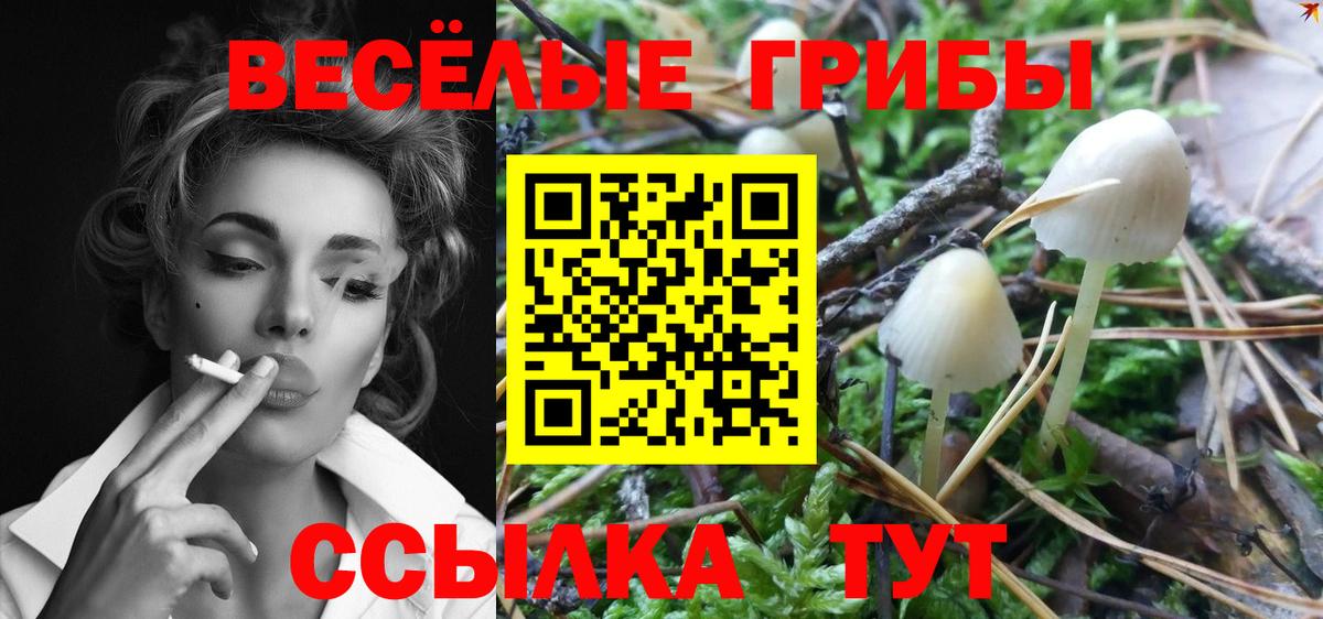 Псилоцибиновые грибы ЛСД Ижевск