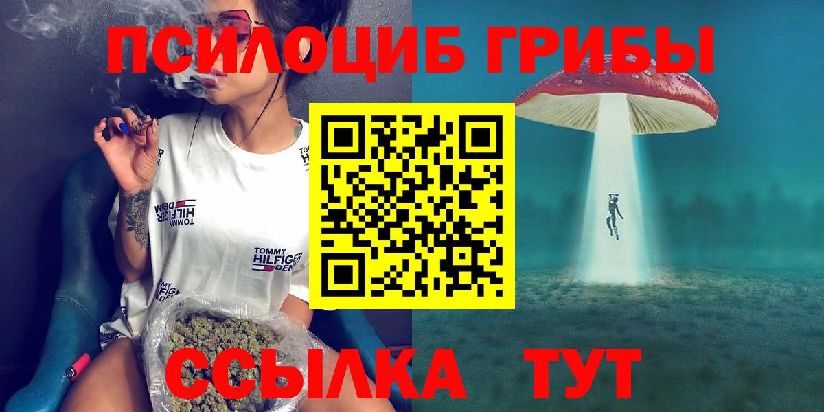 Псилоцибиновые грибы мухоморы  купить наркотик  Ижевск  Вход с VPN  Галлюциногенные грибы мицелий 